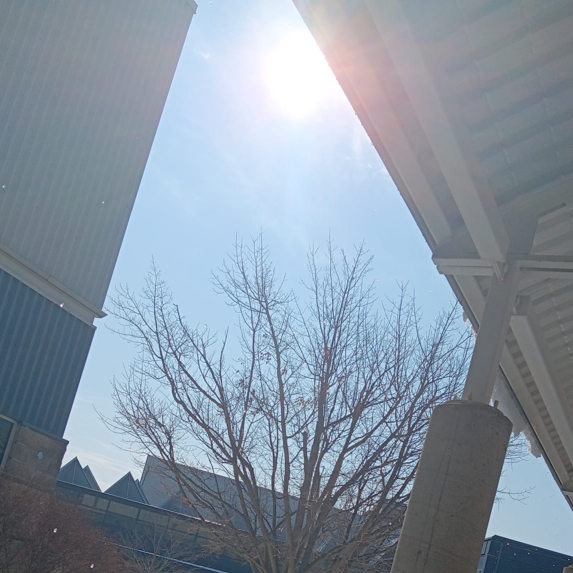Sunny Day / Melting Snow on Roof:
Water dripped steadily from the roof as the snow melted in the sun. The sound created a soft, irregular tapping rhythm.