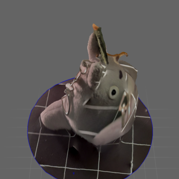 The top of my Totoro plushie keychain.