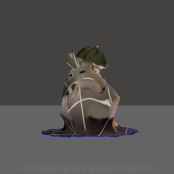 The front of my Totoro plushie keychain.