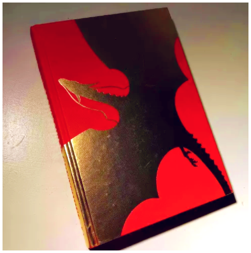 This book is one I read with my younger sister, 'Impossible Creatures'. I liked the dramatic lighting.