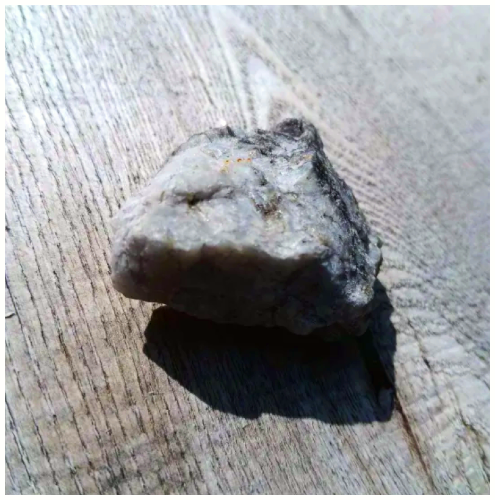 Sliver shining rock I found in my aunt's backyard.